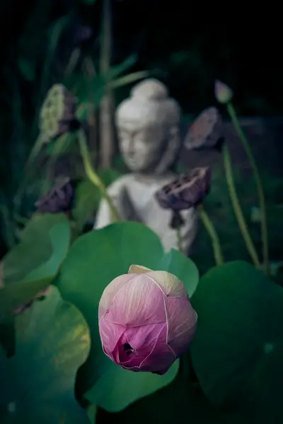 Buddhafigur im Feng Shui Garten